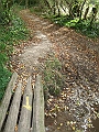 futur trail 029